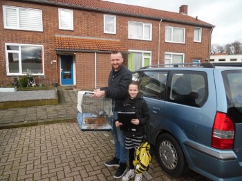Afbeelding invoegen